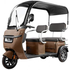 Elektrinis triratis dvivietis motoroleris MQ PRO su stogeliu, 1000W, AC, EEC rudas